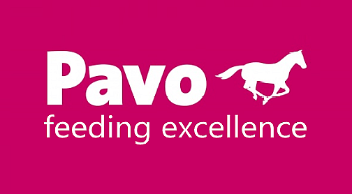 Logo, Dier, Paard, Zoogdier, Logo, Dier, Paard, Zoogdier