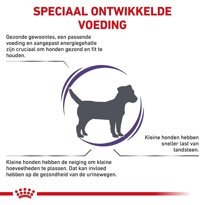 Royal Canin Adult Small Dog 2 kg