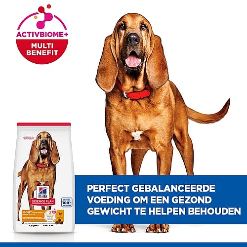 hondenvoer, droogvoeding, halsband-kleur, hond met halsband, voeding voor honden