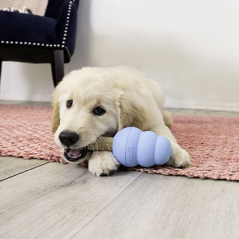 KONG Enhanced Ziggies Puppy S
