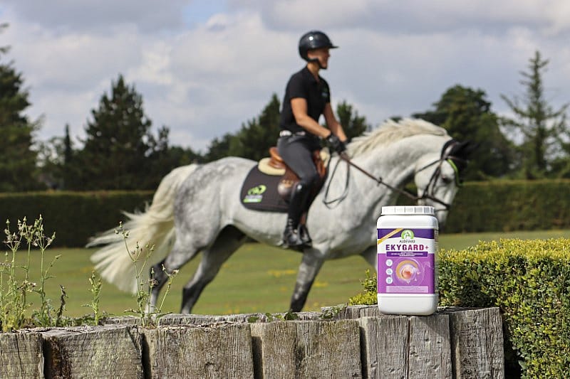 Audevard Ekygard+ Maag Stress Paard