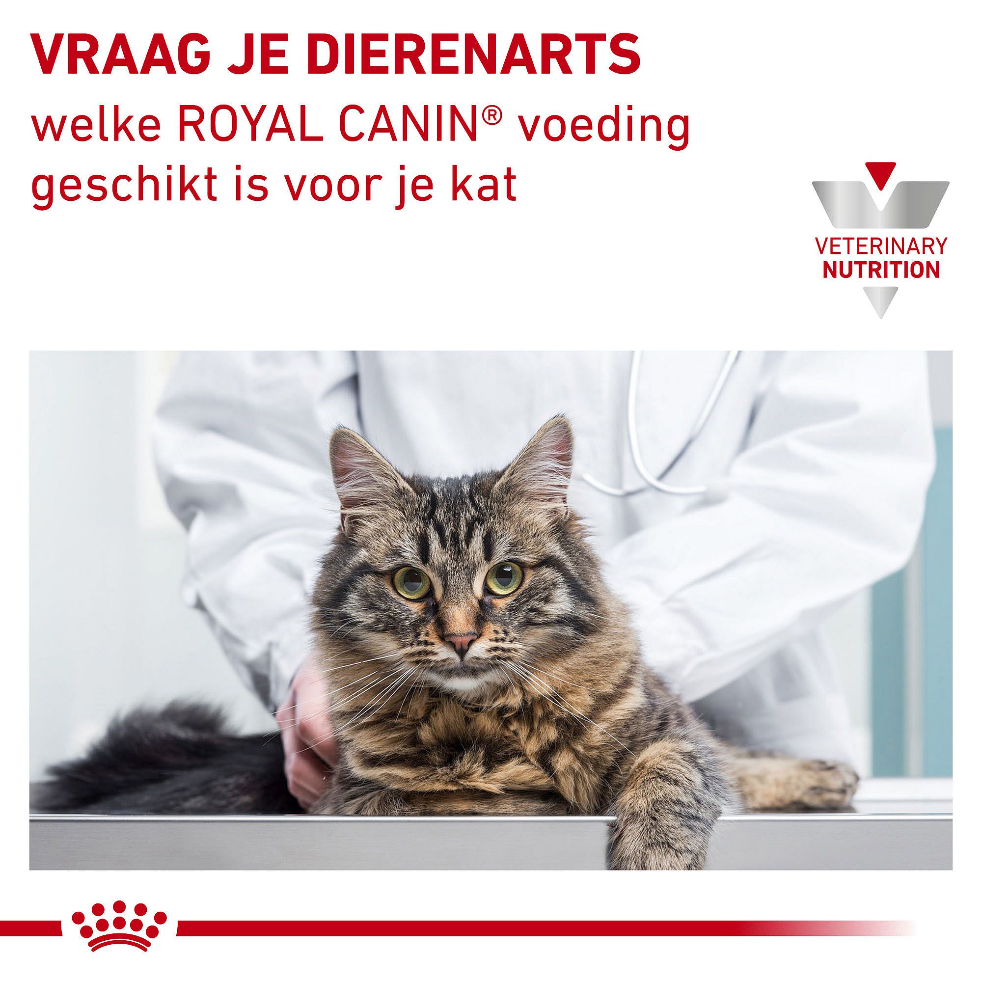 Royal Canin Urinary S/O Moderate Calorie Kat