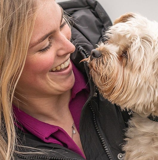 Honden vieren alles
