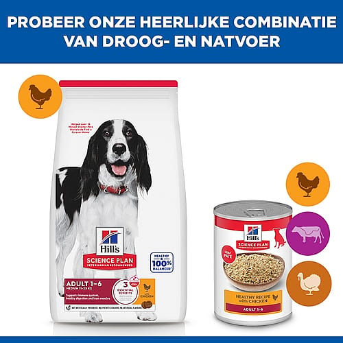 dogvoer, droog hondenvoer, grote verpakking, korrels, hills science plan