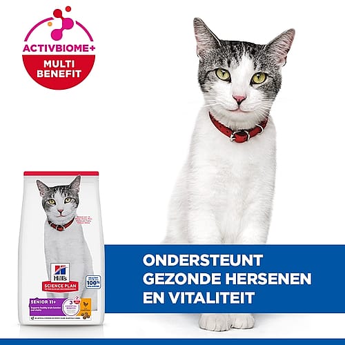 kat, kattenvoer, rode halsband, grijs-wit, hills wetenschappelijk voer