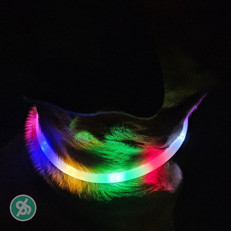 Trixie Halsband Lichtgevend Meerkleurig Hond