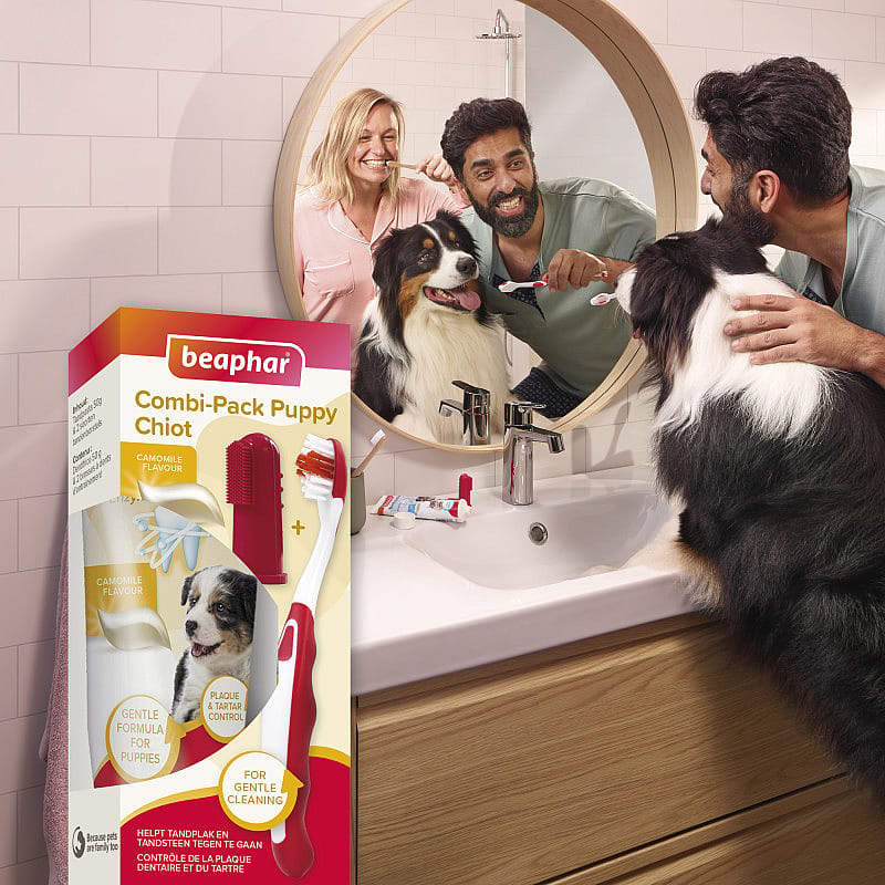 Beaphar Combi-Pack Puppy Tandpasta & Borstel