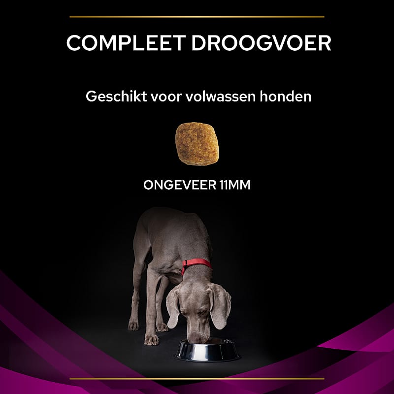 Purina Pro Plan Veterinary Diets Canine UR Urinary Hondenvoer