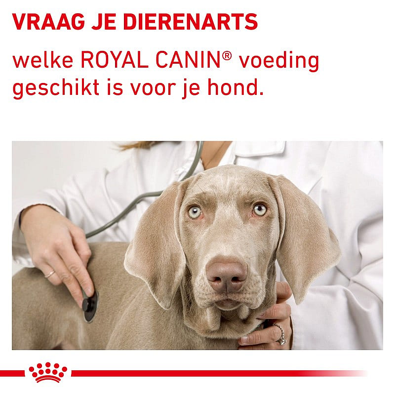 Royal Canin Dental Hond