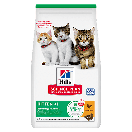 kattenvoer, kitten, brokjes, huisdiervoeding, mindere dan 1 jaar