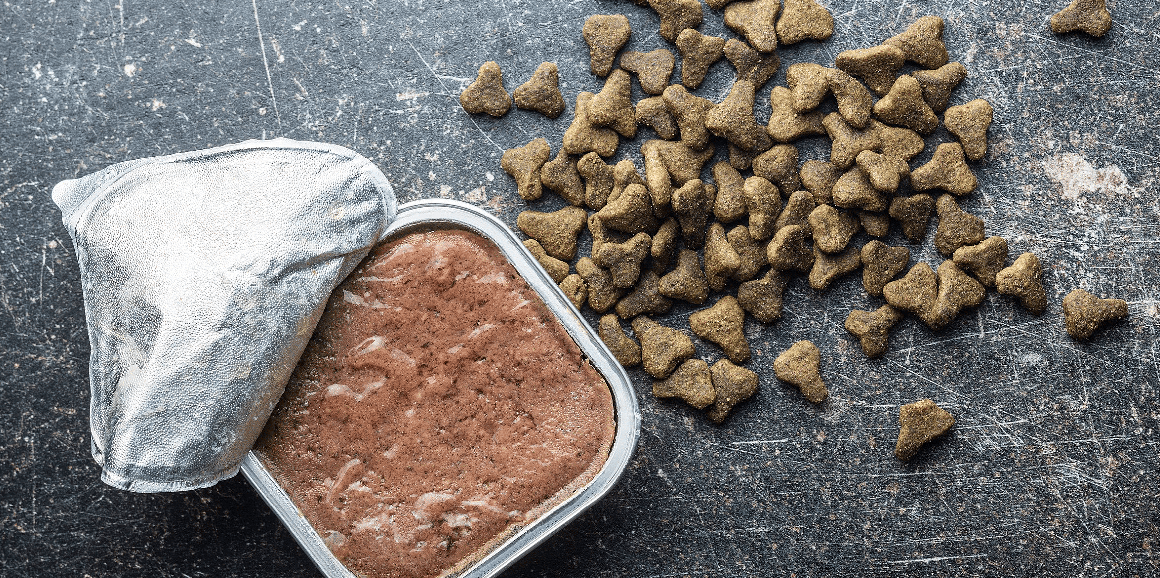 Droogvoer en natvoer combineren voor uw hond?