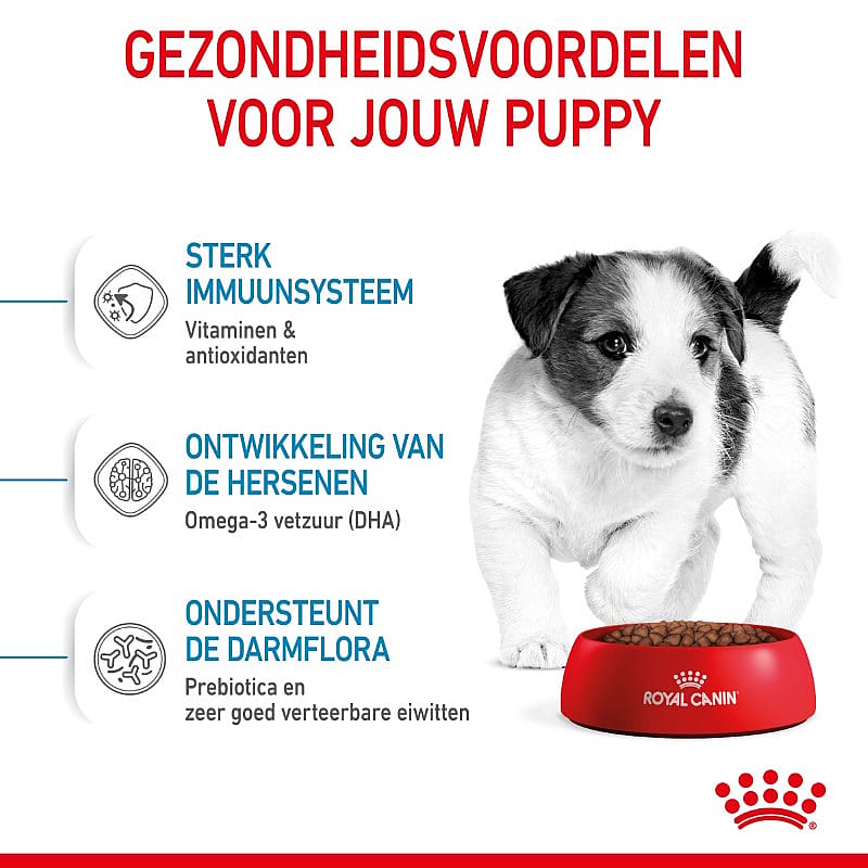 Royal Canin Puppy Mini