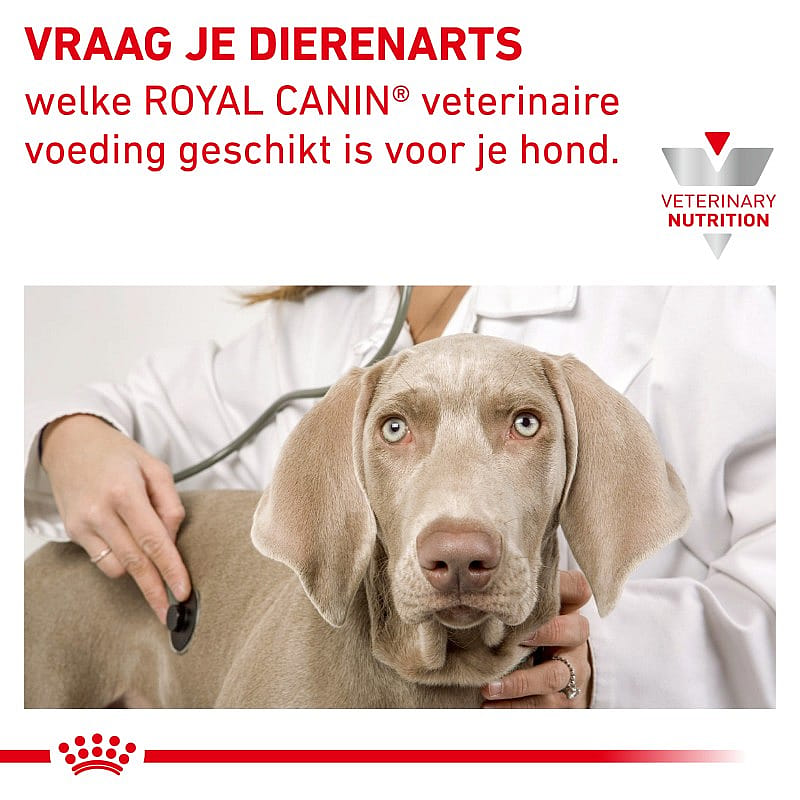 Royal Canin Anallergenic Hond 3 kg