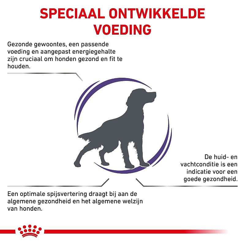 Royal Canin Adult Medium Dog 4 kg