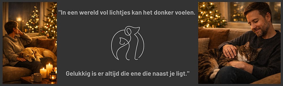 Feestdagen en eenzaamheid: de troost van een huisdier aan je zijde