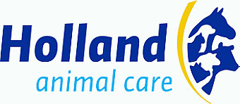 Logo, Logo
