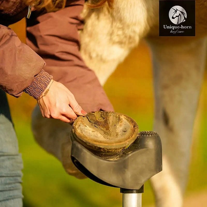 hoes, hoefs, paardenschoen, zadelstap, nagelsporens