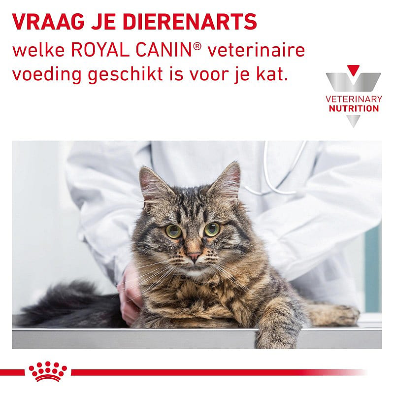 Royal Canin Hepatic Kat 4 kg