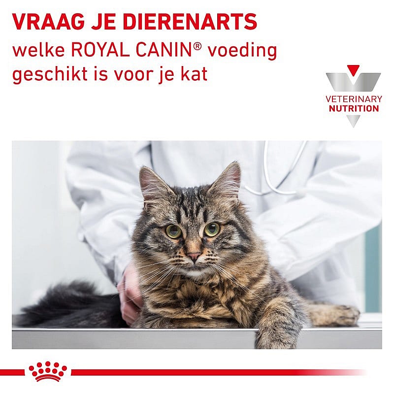 Royal Canin Renal Kat 12 x 85 gram maaltijdzakjes - Rund