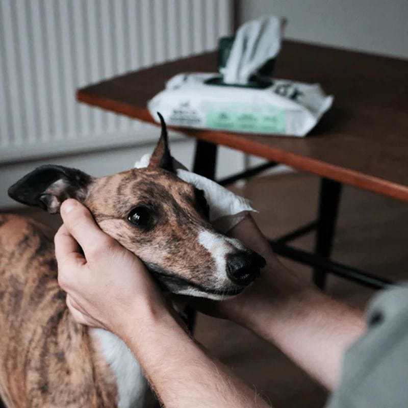 Beco BAMBOO Dog Wipes Hond Unscented