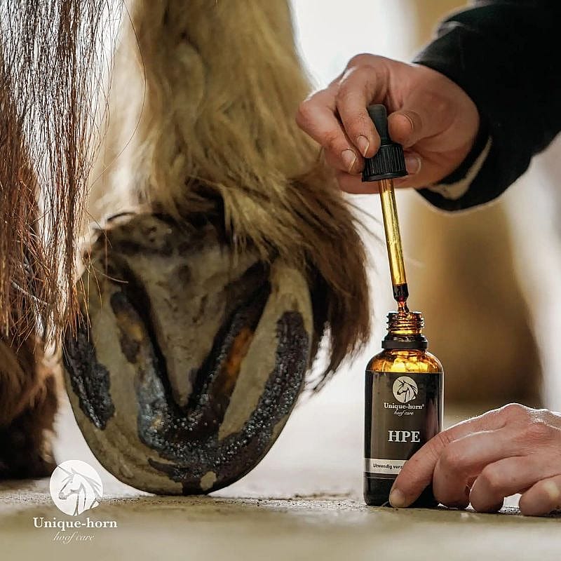 horse, hoef, hoefverzorging, topische oplossing, druppelfless