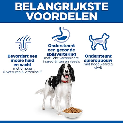 dog, dry dog food, kibble, bowl, bone-shaped pattern