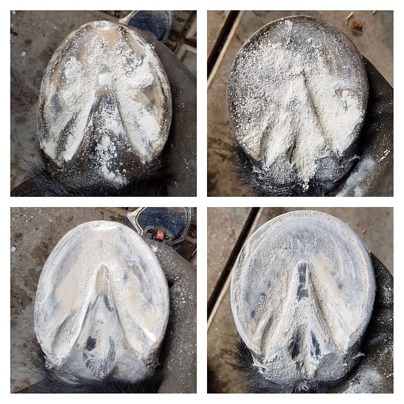 Unique-Horn Magic Hoof Powder 120 gram