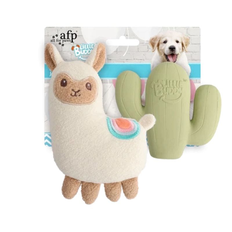 AFP Little Buddy Fiësta Lama Hond Puppy