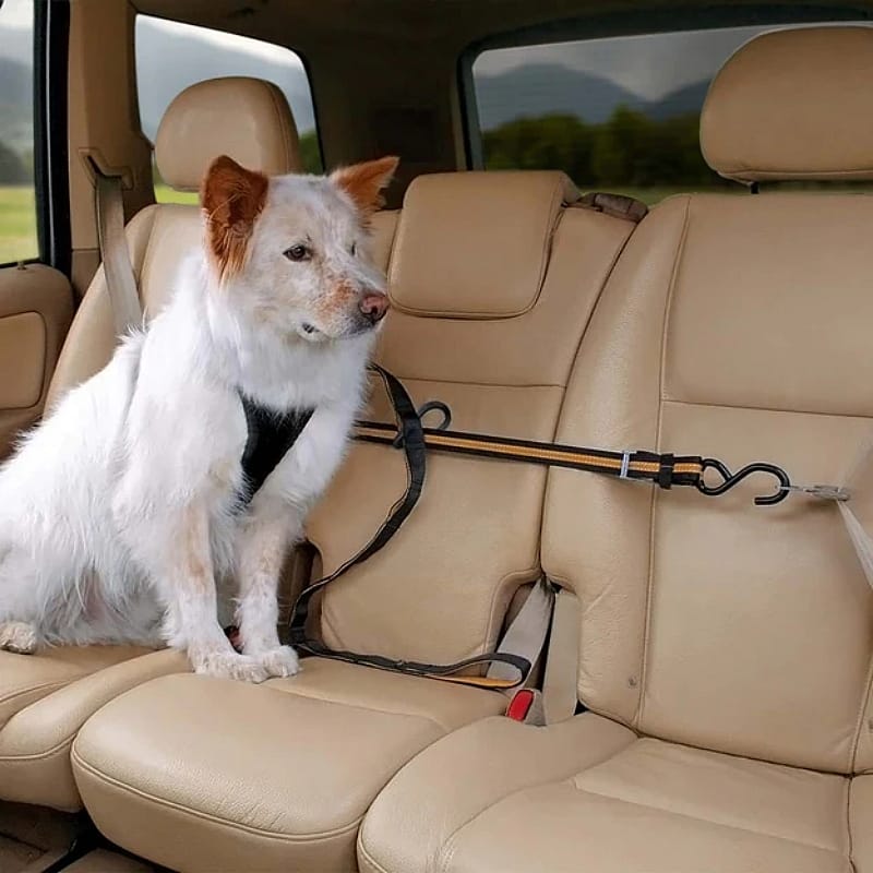 Kurgo Auto Zip Line Combo Hond