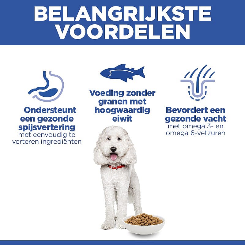 dog, voeding, kibble, hondenkom, witte hond