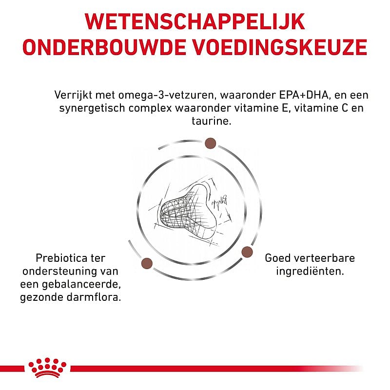 Royal Canin Gastrointestinal Fibre Response Kat 2 kg