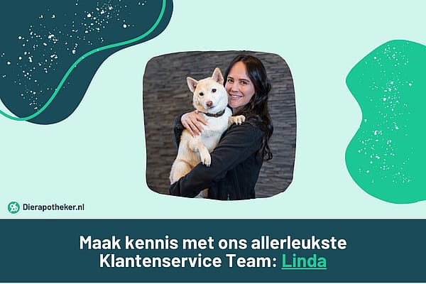 ''Als mijn hondje overlijdt is dat jouw schuld"