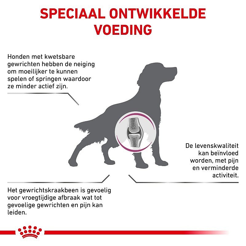 Royal Canin Mobility Support Hond