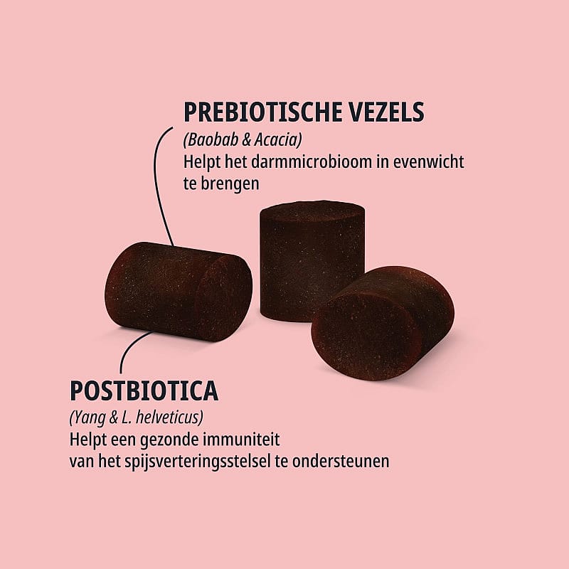 prebiotische vezels, postbiotica, kokosnaps, pillvorm, donkergroen/maarse kleur