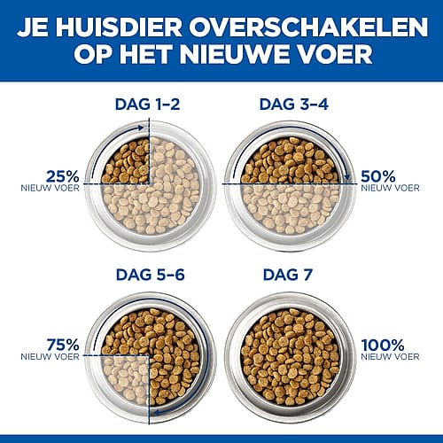 voerbak, kattenvoer, bonen, droogvoer, graan