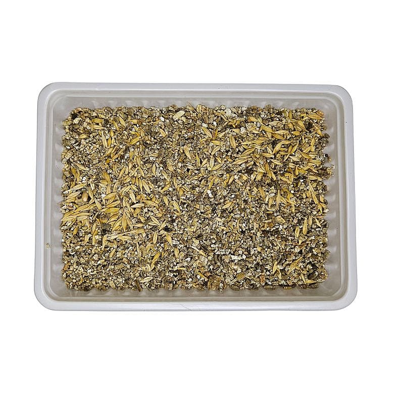 Beeztees Kattengras 130 gram Kat