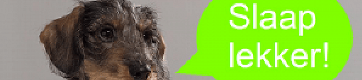 Hond slapen lekker