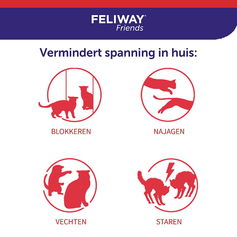 Feliway Friends