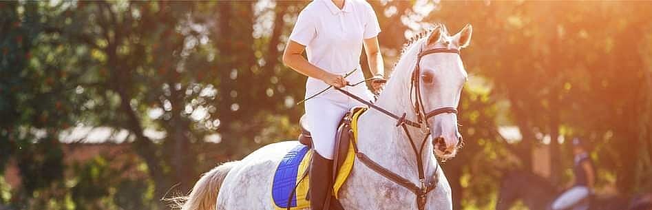 Spier supplementen helpen uw paard