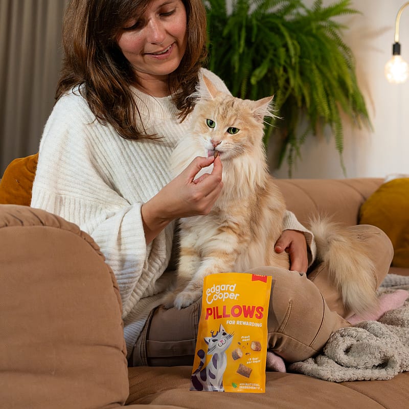 Edgard & Cooper Pillows Kattensnacks 60 gram Kalkoen