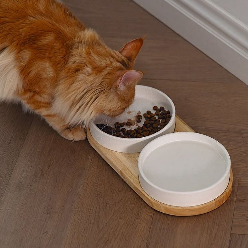 kat, kattenvoer, voedingsbak, keramisch, hout