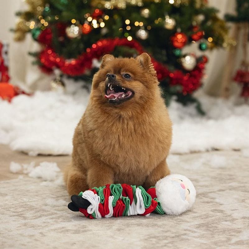 Beeztees Pluche Snuffel Kerstman Hond