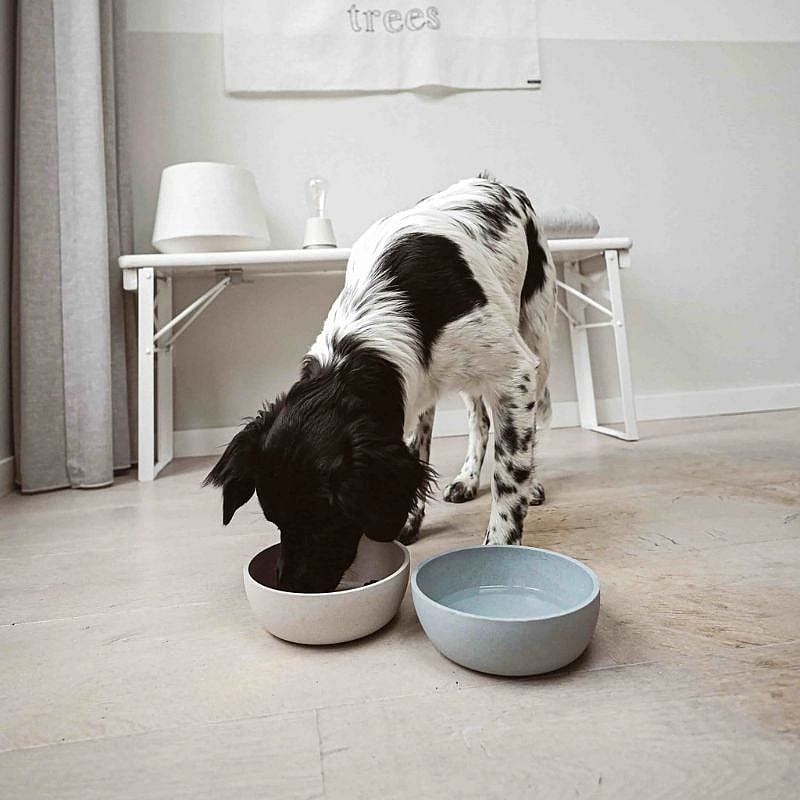 District 70 BAMBOO Stijlvolle Voerbak Hond S Merengue