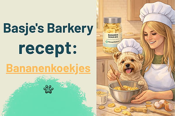 Basjes Barkery: 'Honden Bananenkoekjes' Recept voor Bananendag!🍌🥜🍪🐶