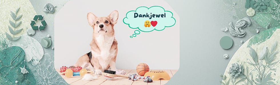 Geef dierenspullen een tweede leven voor dier en planeet