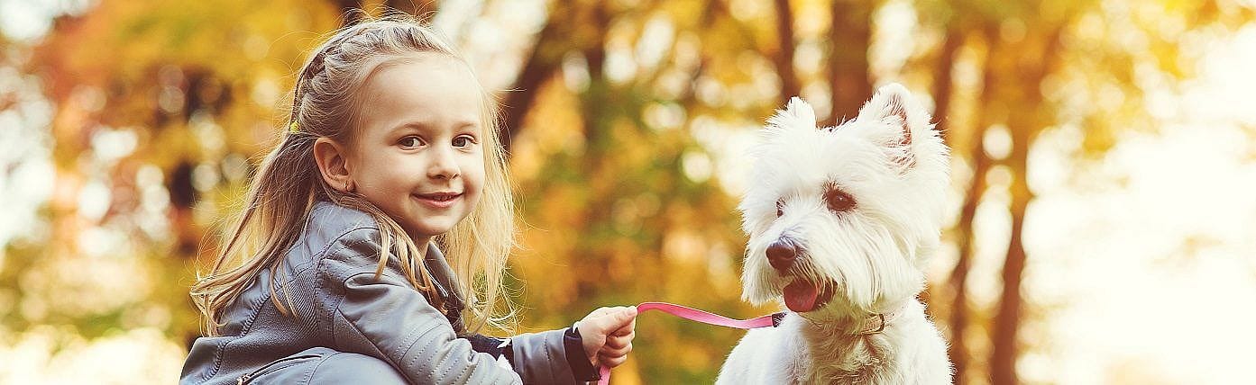 5 gevaarlijke parasieten voor hond, kat en mens