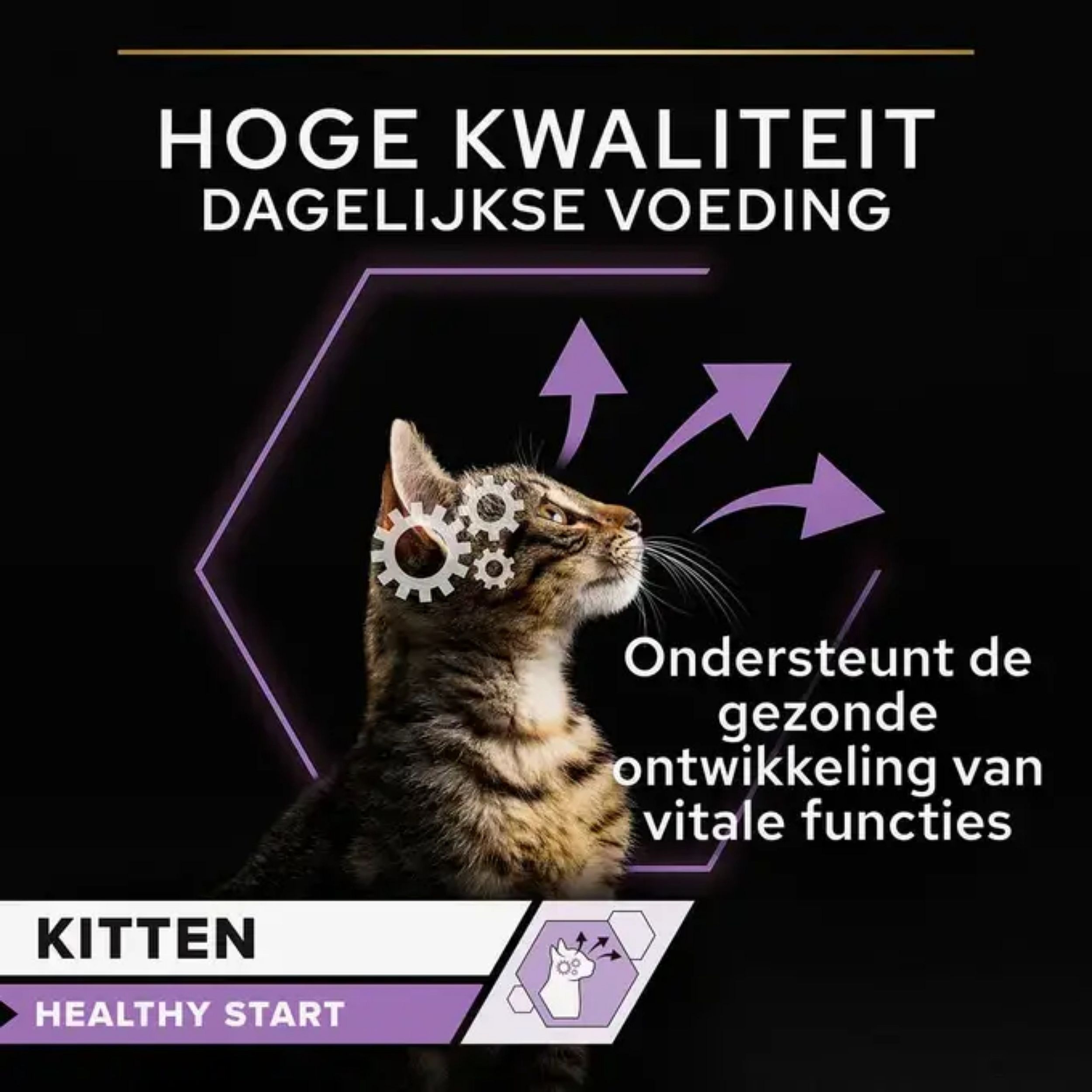 Purina Pro Plan Healthy Start Kitten 24 x 85 gram blikjes kip