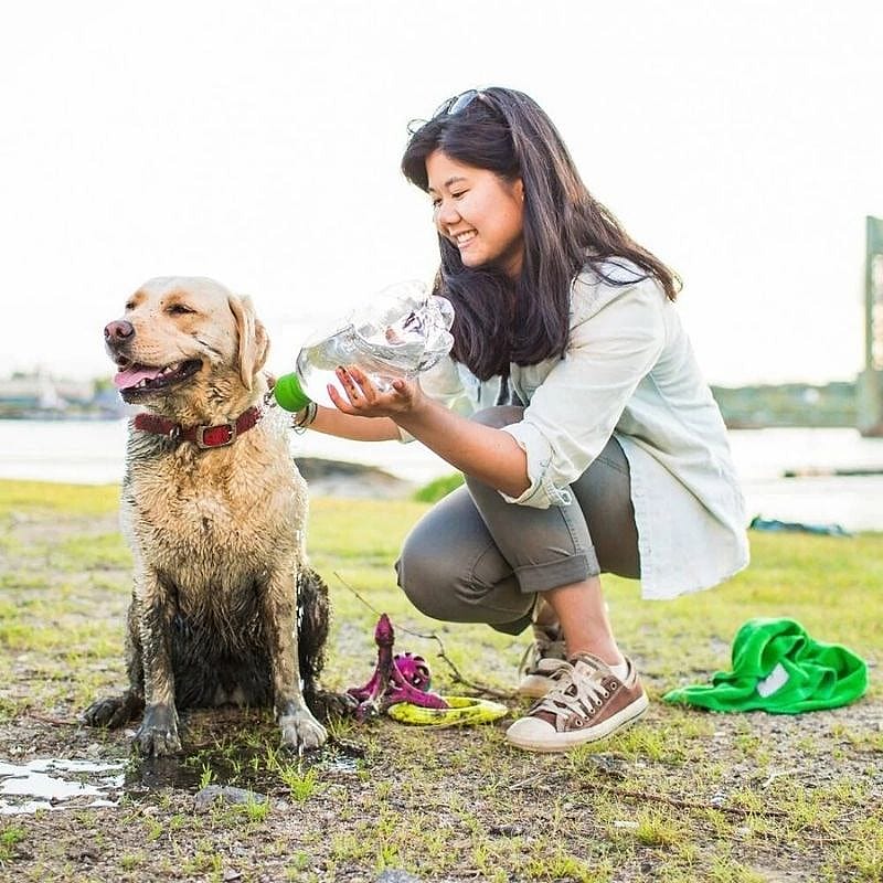 honden, dog, drink, water, outdoor