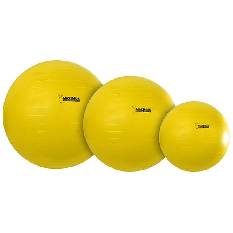 Maximus Power Play Ball Paard