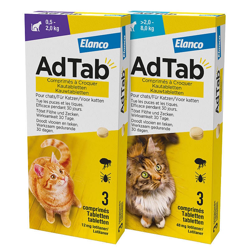 AdTab Kat